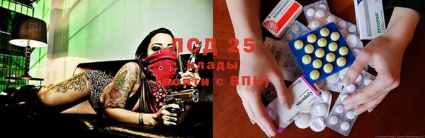 трава Магас