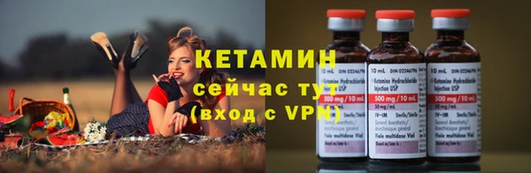 трава Магас