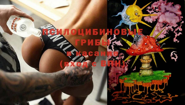 трава Магас