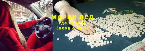 трава Магас