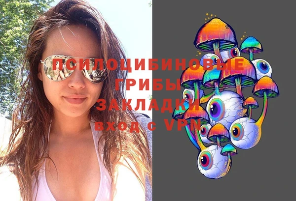 трава Магас